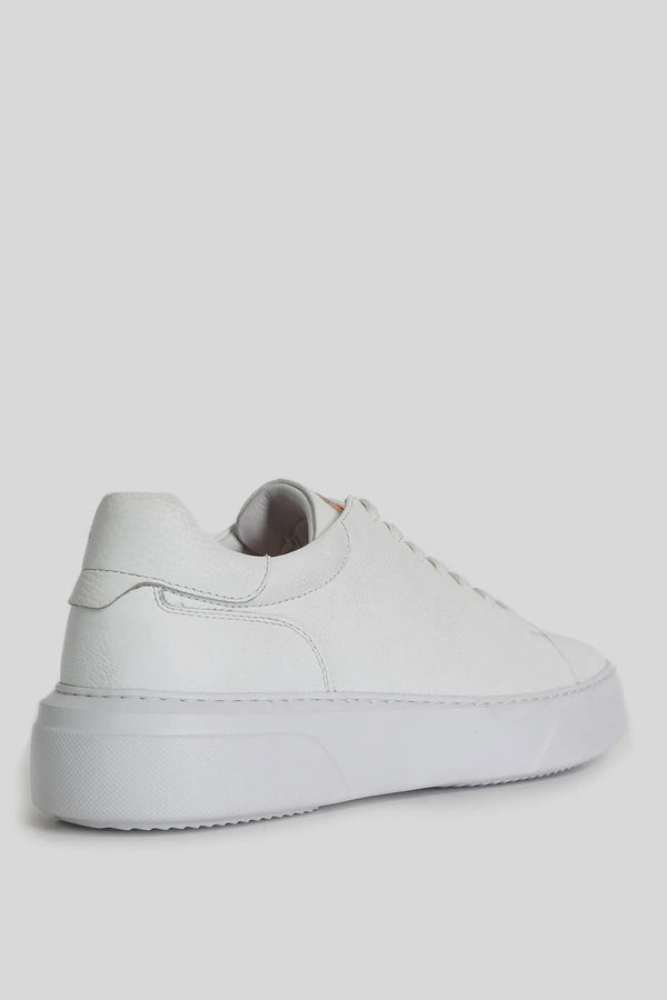 Genuine Leather Contemporary Style Sneakers